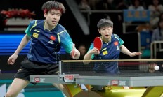 熊猫直播APP-罗马尼亚队打入制胜球，晋级实现