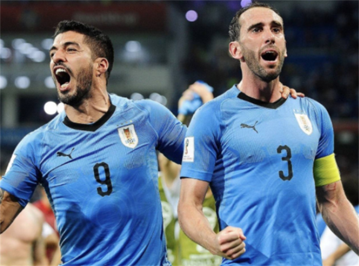 塞内加尔险胜乌拉圭，戈麦斯高光表现的简单介绍